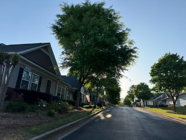 The Orchards of Habersham Grove - image 1