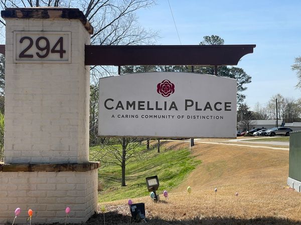 Camellia Place - image 1