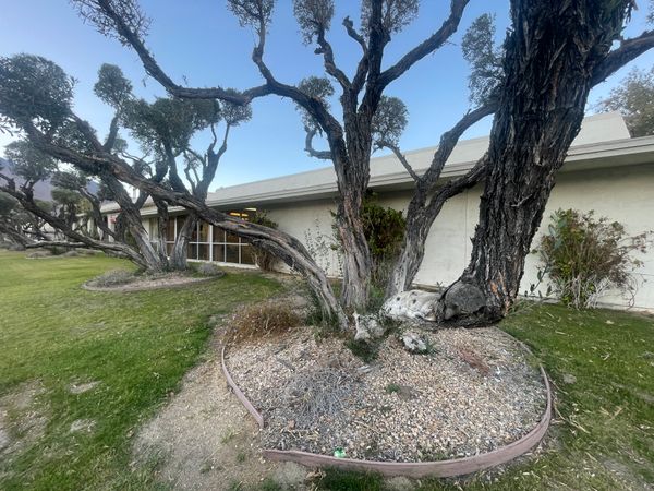 Premier Care Center For Palm Springs - image 1