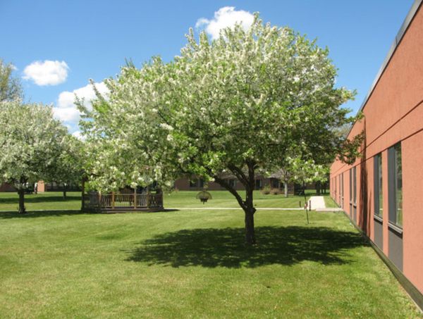 Manor Hills - image 1