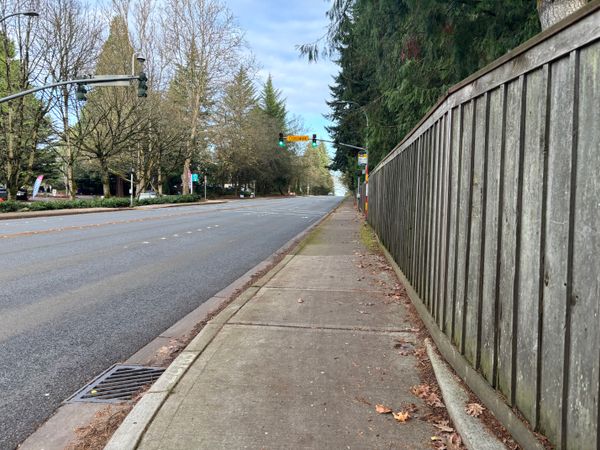 Bellevue AFH - image 1