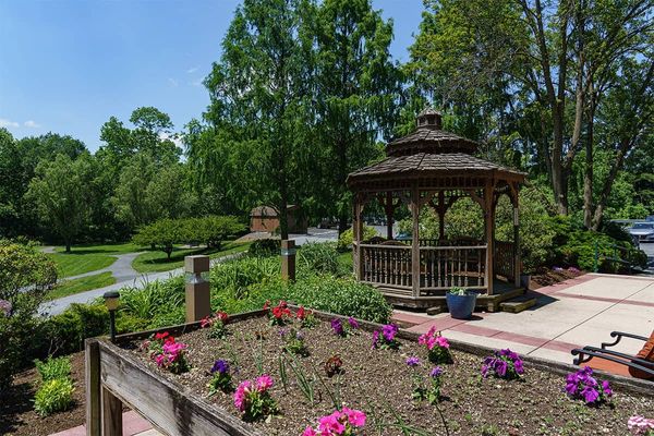 The Woods at Cedar Run - image 1