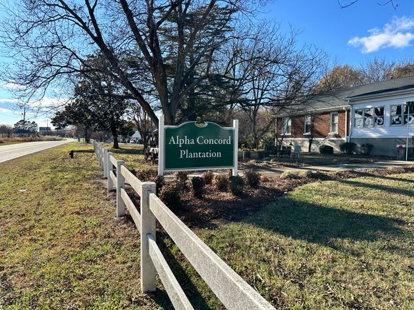 Alpha Concord Plantation - image 1