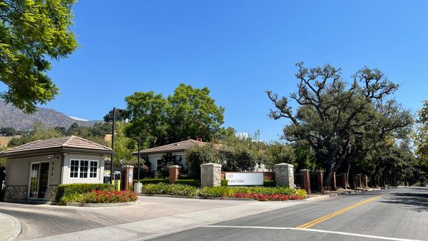 Royal Oaks - image 1