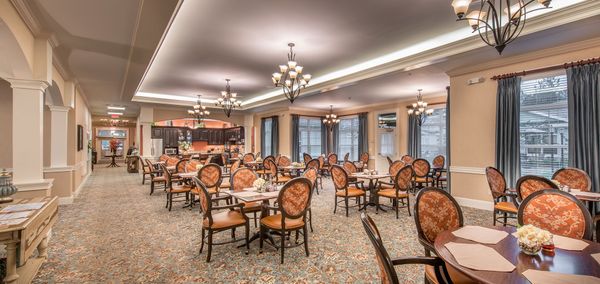 Addison of Oakleaf - image 1