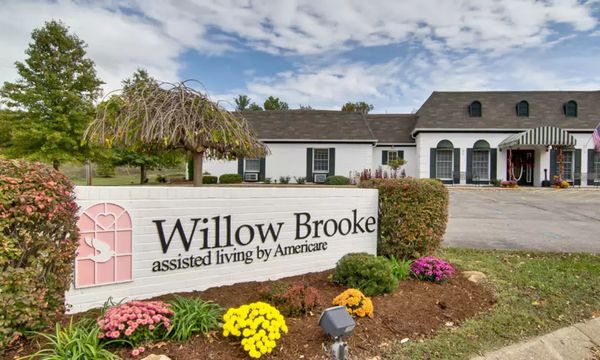 Willow Brooke - image 1