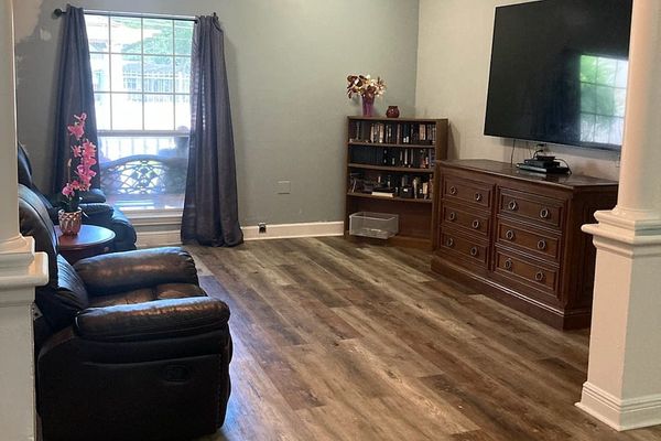 The Pine Tree Of Pasadena - image 1