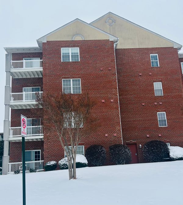 The Village On Pheasant Ridge - image 1