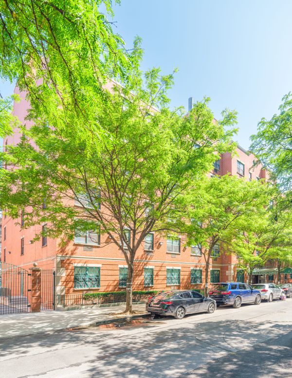 Alma Rangel Gardens - image 1