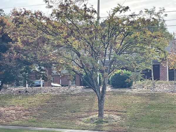 Coventry House Of Zebulon - image 1