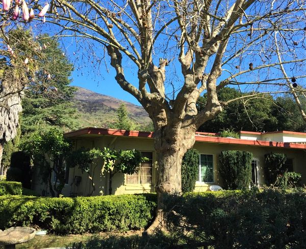 The Country Inn - image 1