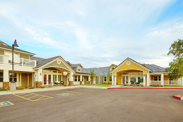 Pecan Care Concepts at American Orchards - image 1