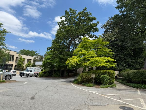 A.G. Rhodes Home - image 1