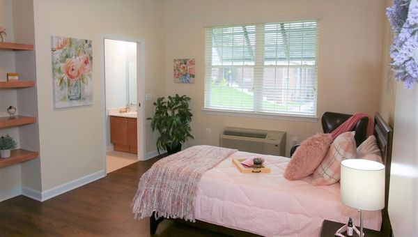 Renaissance of Annandale - image 1