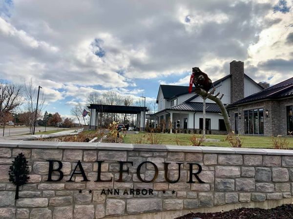Balfour Cherrywood Village - image 1