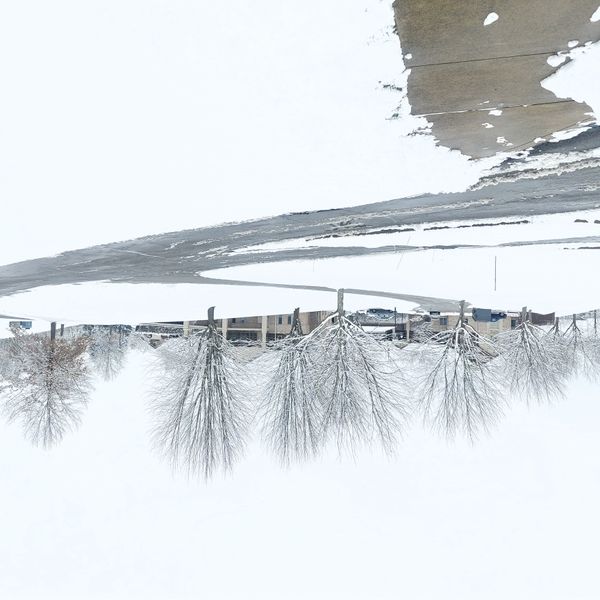 Concordia of Franklin Park - image 1