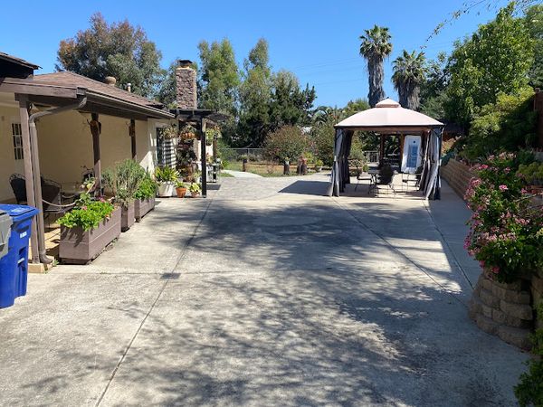 Golden Retreat  - image 1