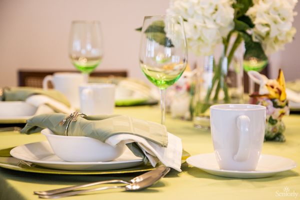 Tlc Home Care - image 1