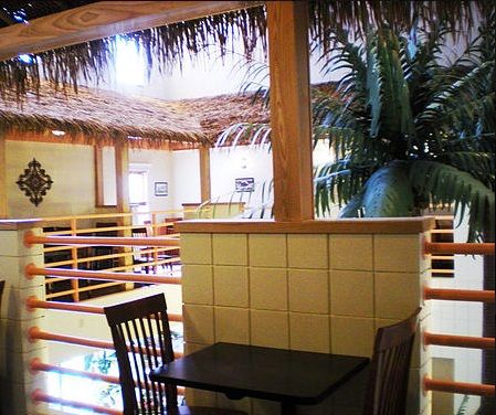 Resident Choice Palms - image 1