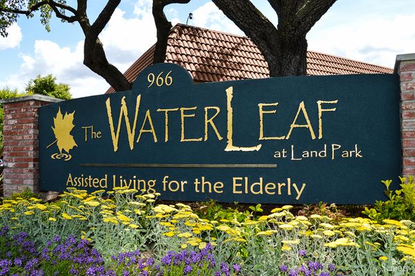 The WaterLeaf at Land Park - image 1