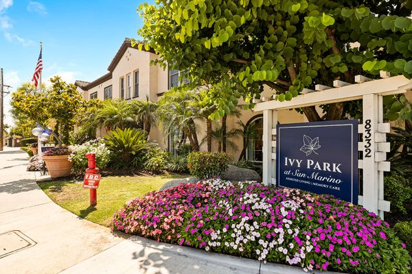 Ivy Park at San Marino - image 1