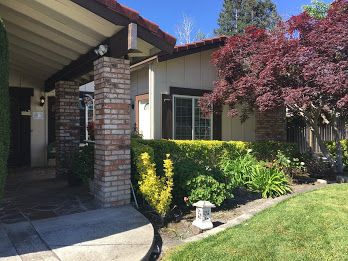Bluemeadow Care - image 1
