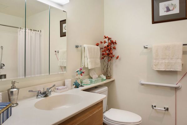 Ivy Park at Bonita - image 1