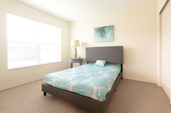 Silver Birch of Mishawaka - image 1