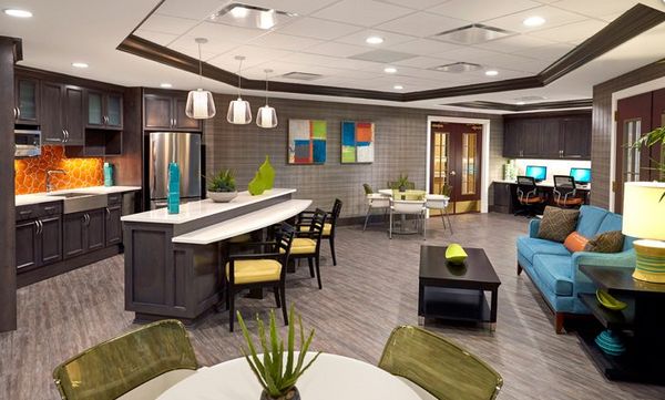 The Bristal At Lake Grove - image 1