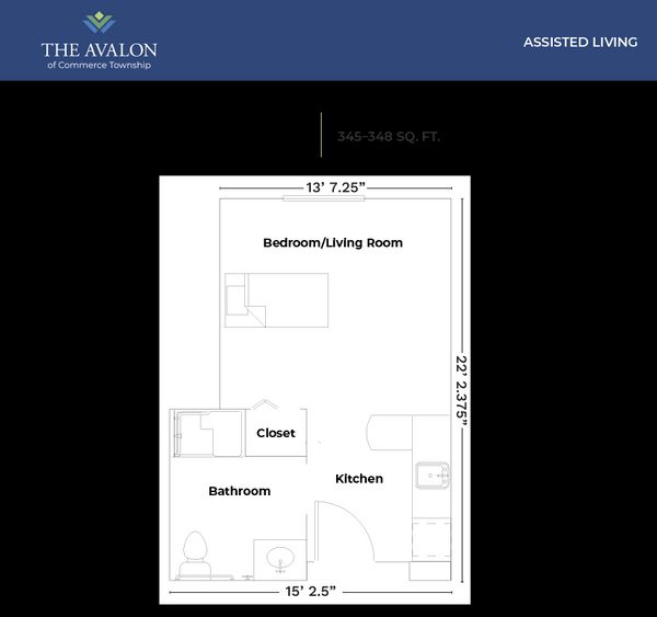 The Avalon Of Commerce Township - image 1