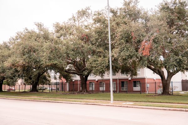 The Gardens of Bellaire - image 1