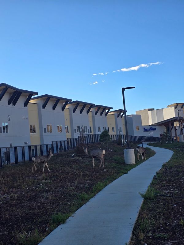 BridgeWater by Legacy Communities - image 1