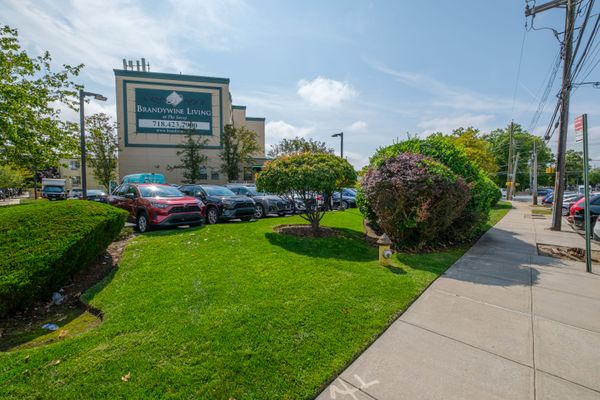 Brandywine The Savoy by Monarch - image 1