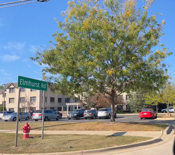 Bella Terra Wheeling - image 1