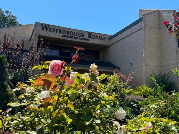 Westborough Royale - image 1