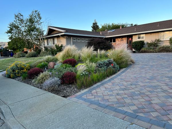 Scarlet House for the Elderly - image 1