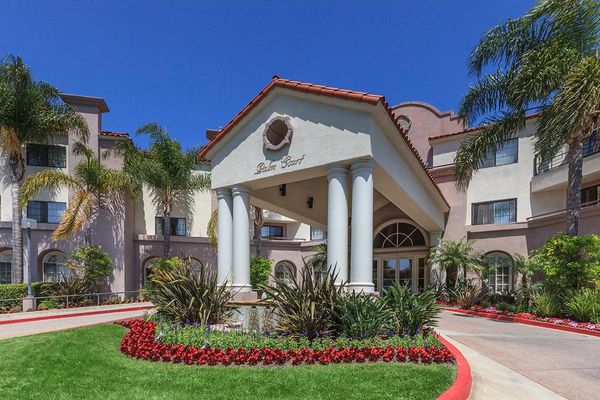 Palm Court - image 1