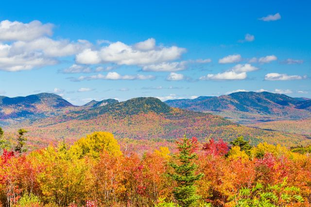 Northeast
