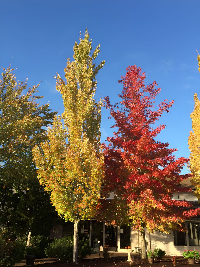 Churchill Estates Retirement Community, Eugene, OR 2