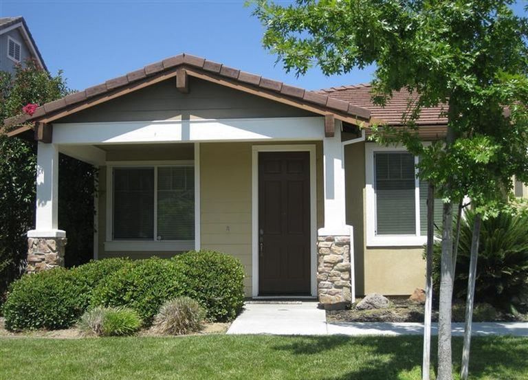 Yellow Orchid, Elk Grove, CA 2