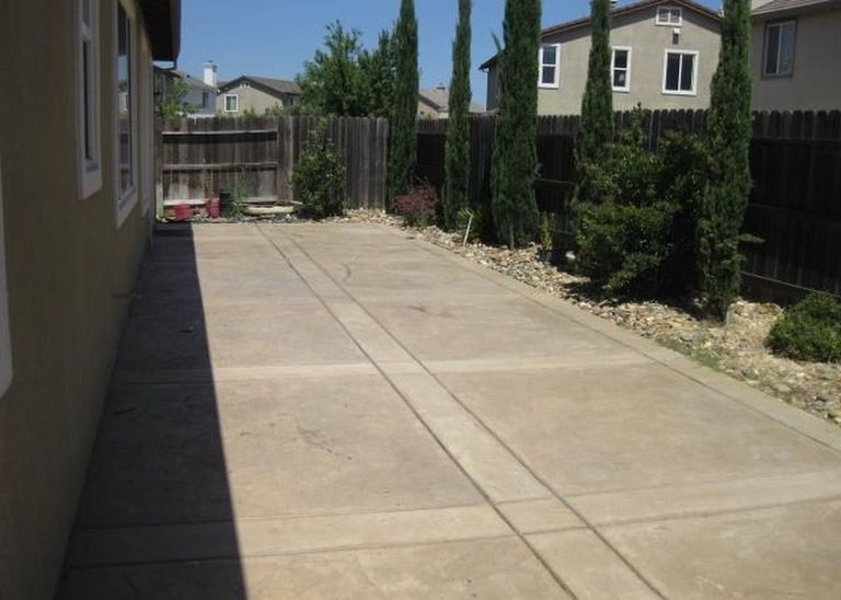 Yellow Orchid, Elk Grove, CA 3