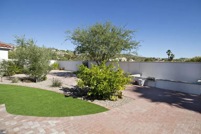 Starfish Care Homes at River Hills, Tucson, AZ 3