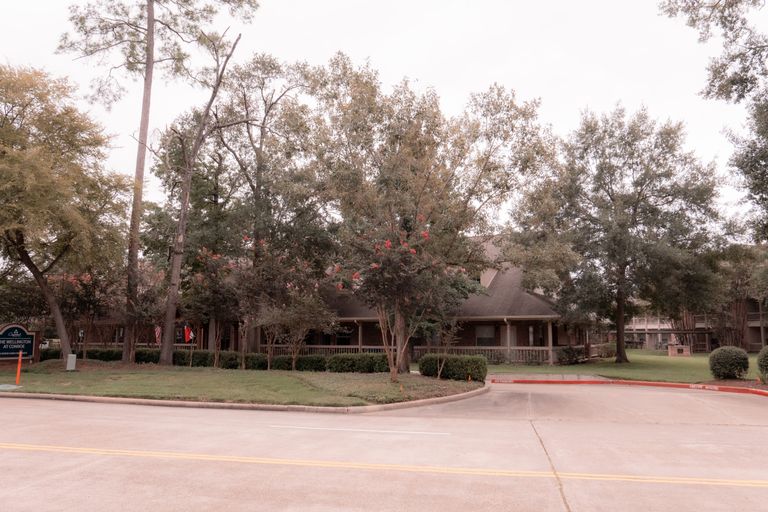 The Wellington at Conroe, Conroe, TX 2