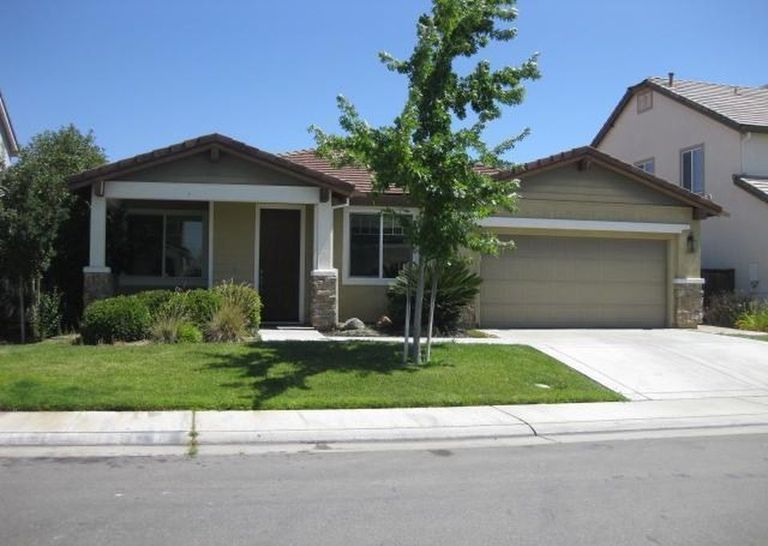 Yellow Orchid, Elk Grove, CA 1
