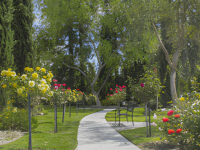 The Californian, Woodland, CA 1