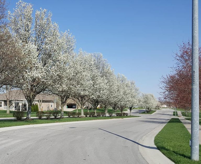 Maintenance provided community at Raintree Lake, Lees Summit, MO.
