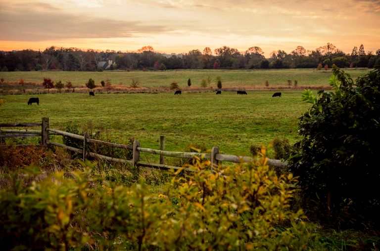 The Hill at Whitemarsh, Layfayette Hill, PA 3