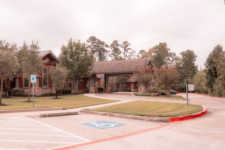 The Broadmoor at Creekside Park, Spring, TX 1