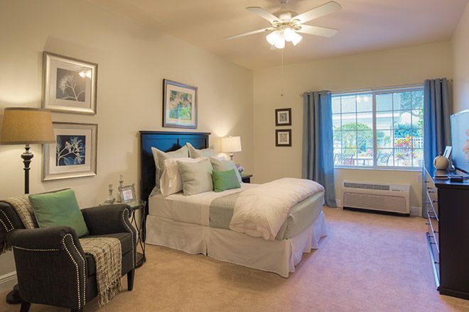 The Colonnade at Northdale, Tampa, FL 2