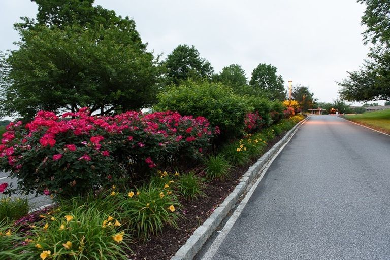 Willowbrooke Court-Granite, Media, PA 2